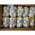 Chinese Pure White Garlic with Small Packing